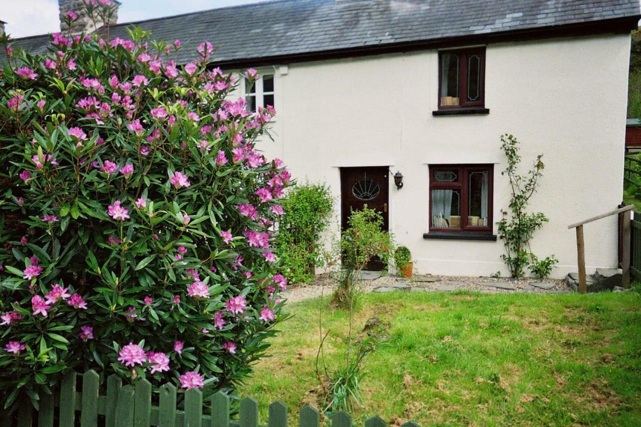 Willa Deer House Machynlleth Zewnętrze zdjęcie