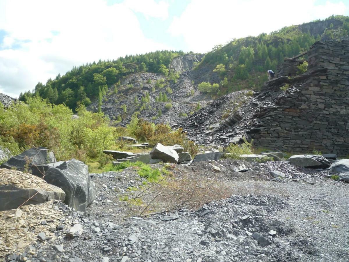 Willa Deer House Machynlleth Zewnętrze zdjęcie